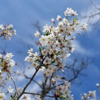評論圖片 5