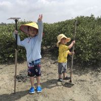 評論圖片 6