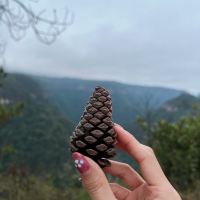 評論圖片 2