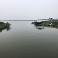 評論圖片 7
