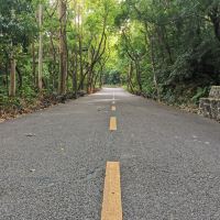評論圖片 3