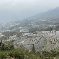 評論圖片 1