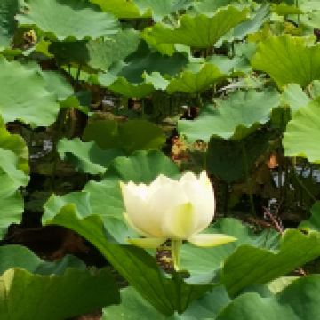 評論圖片 6
