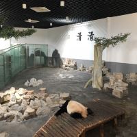 評論圖片 8