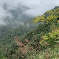 評論圖片 1