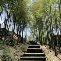 評論圖片 3