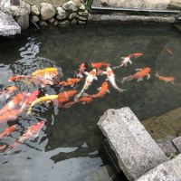 評論圖片 9