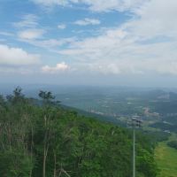 評論圖片 9