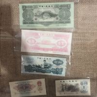 評論圖片 5