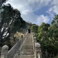 評論圖片 6