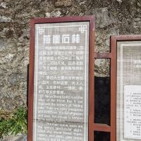 評論圖片 3