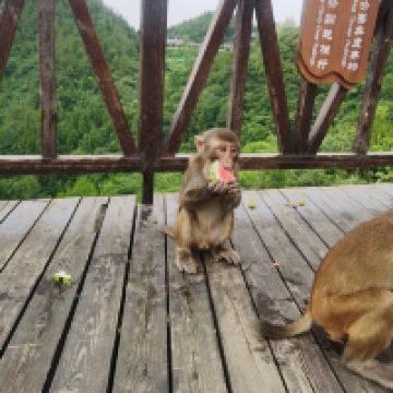 評論圖片 8