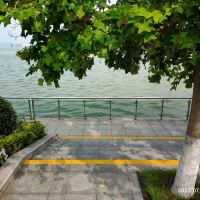 評論圖片 3