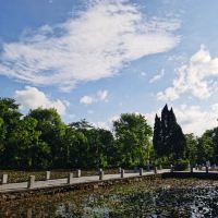 評論圖片 6