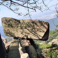 評論圖片 9