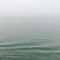 評論圖片 3