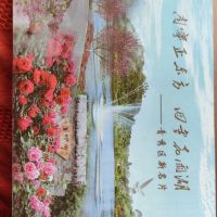 評論圖片 1