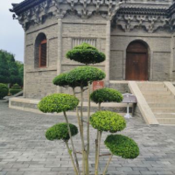 評論圖片 3