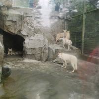 評論圖片 4