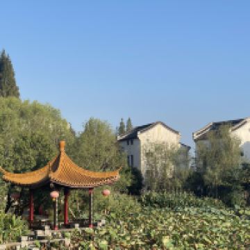 評論圖片 2