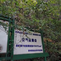 評論圖片 2