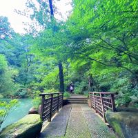 評論圖片 1