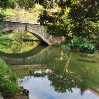 評論圖片 3