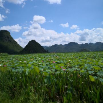 評論圖片 9
