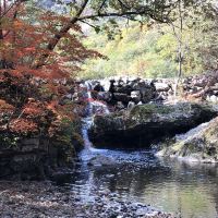 評論圖片 6