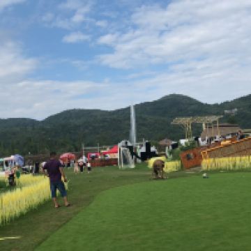 評論圖片 1