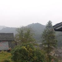 評論圖片 4