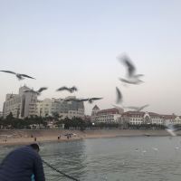 評論圖片 5