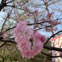 評論圖片 7