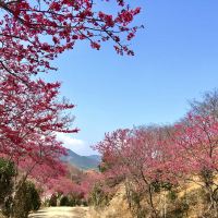 評論圖片 2
