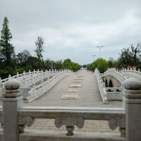 評論圖片 7
