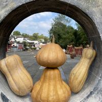 評論圖片 7