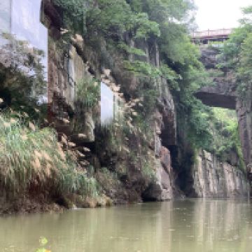 評論圖片 7