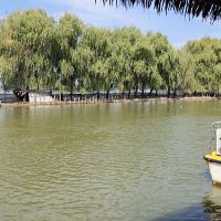 評論圖片 3