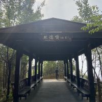 評論圖片 9