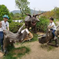 評論圖片 6