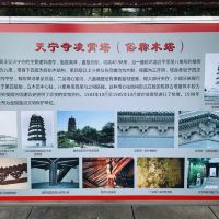 評論圖片 8