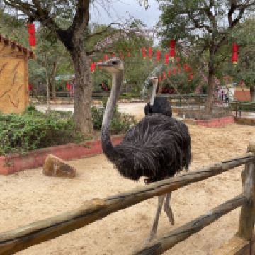 評論圖片 8