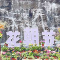評論圖片 6