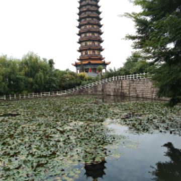 評論圖片 1