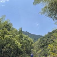 評論圖片 2