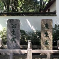 評論圖片 4