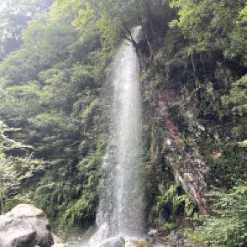 評論圖片 1