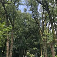 評論圖片 4