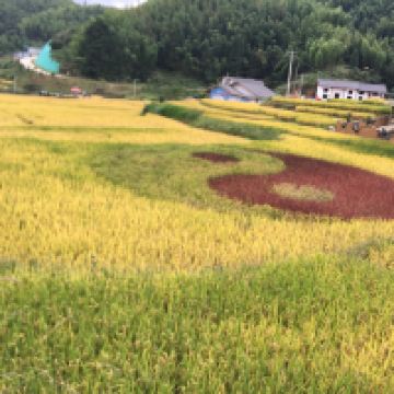 評論圖片 9