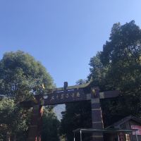 評論圖片 7